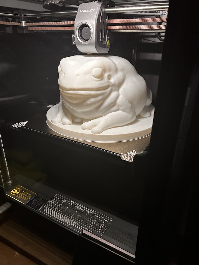 3D Frog Print